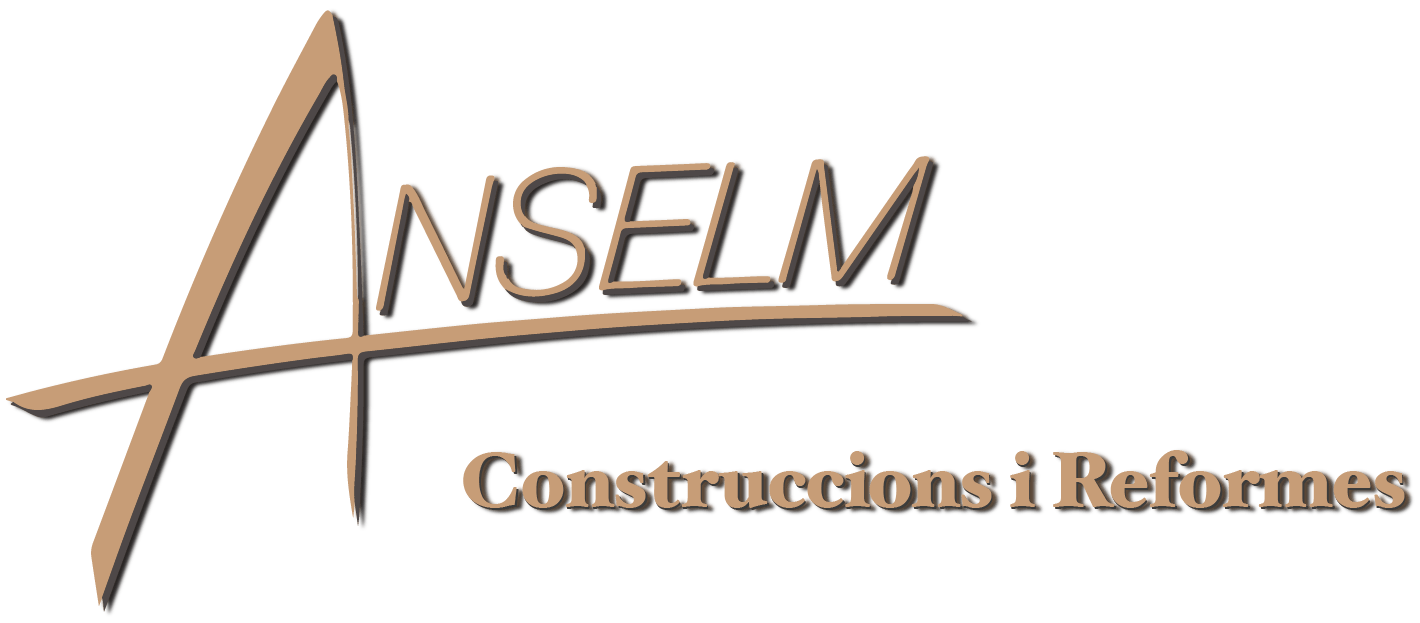 Anselm-logo-sombra
