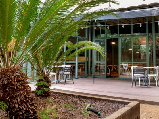 4C4906DF-D34D-4295-98A9-AA95BFB1DDB3 copy